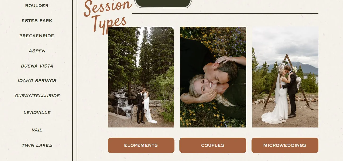 Dani Tolson website screenshot 2