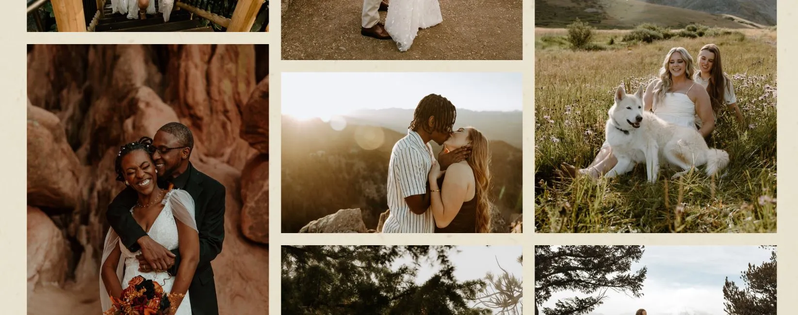 Dani Tolson website screenshot 4